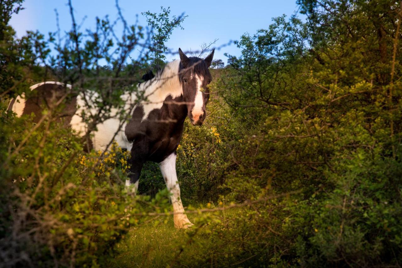 Hospedaje Rural Casa Parri Poveda de la Sierra Εξωτερικό φωτογραφία