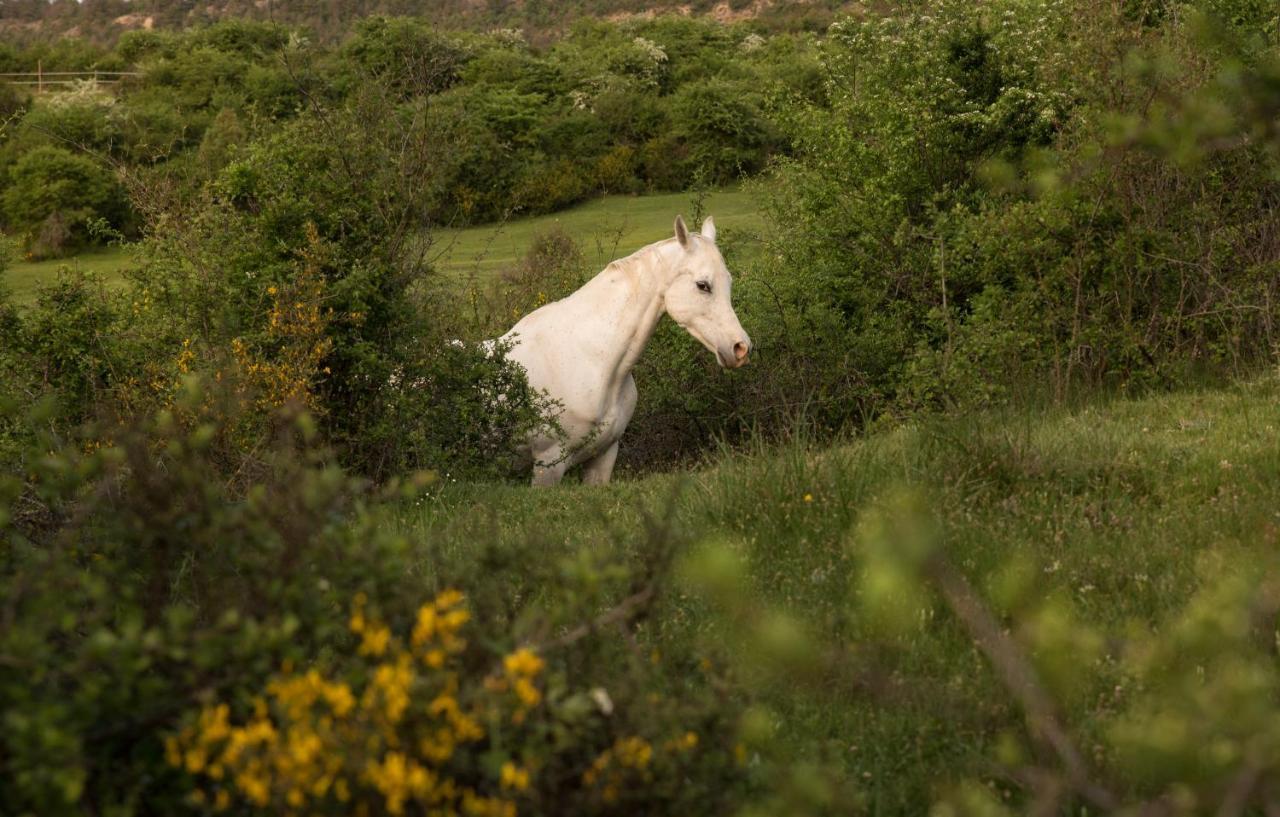 Hospedaje Rural Casa Parri Poveda de la Sierra Εξωτερικό φωτογραφία