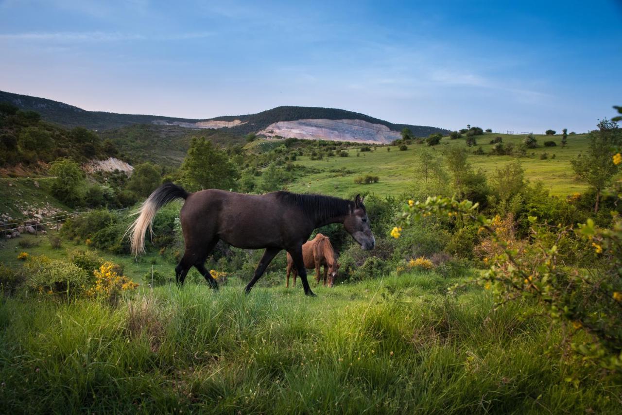 Hospedaje Rural Casa Parri Poveda de la Sierra Εξωτερικό φωτογραφία