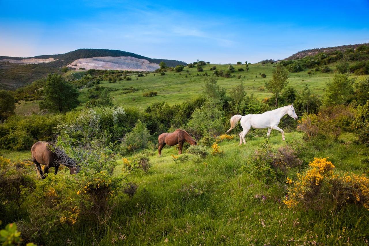 Hospedaje Rural Casa Parri Poveda de la Sierra Εξωτερικό φωτογραφία